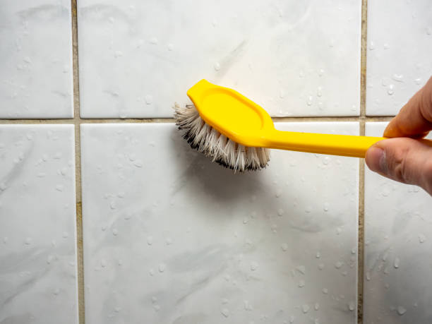 Best Affordable Mold Removal  in Eureka, CA