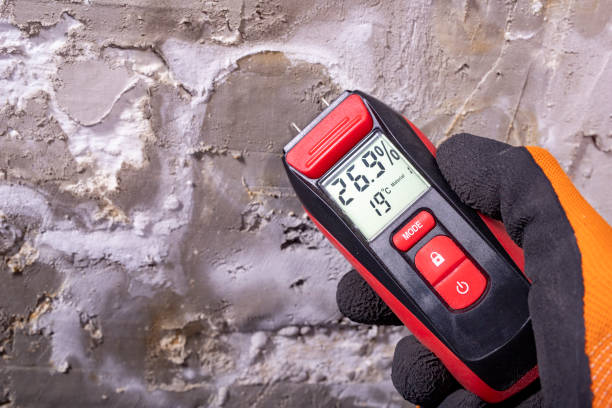 Best Office Mold Removal Services  in Eureka, CA